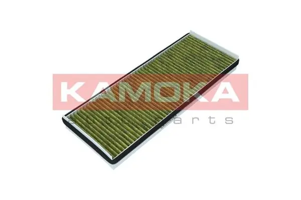 Filter, cabin air 6080025