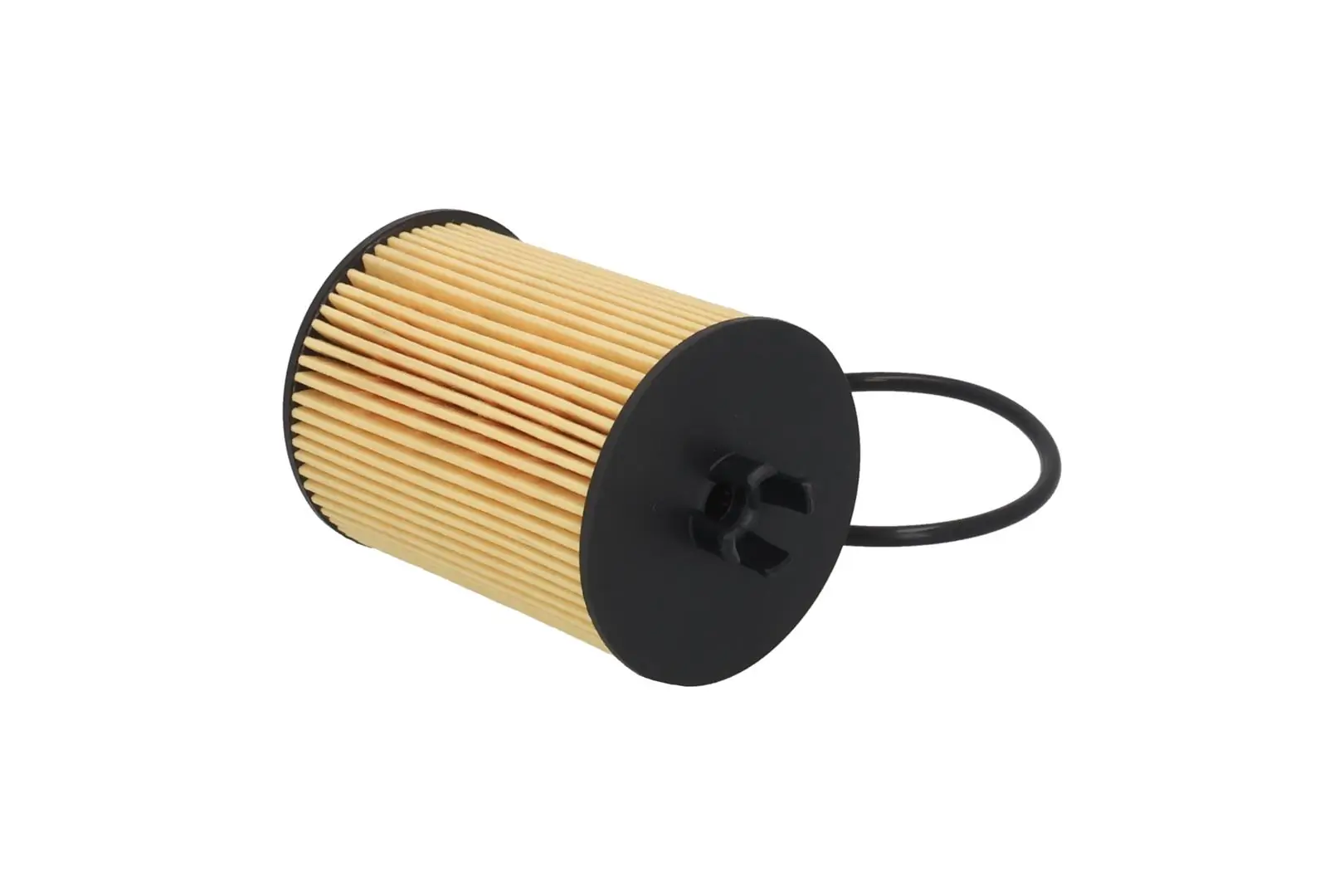 Oil Filter F129301