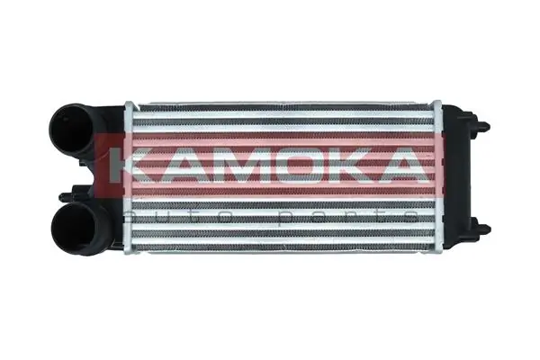 Charge Air Cooler 7750051