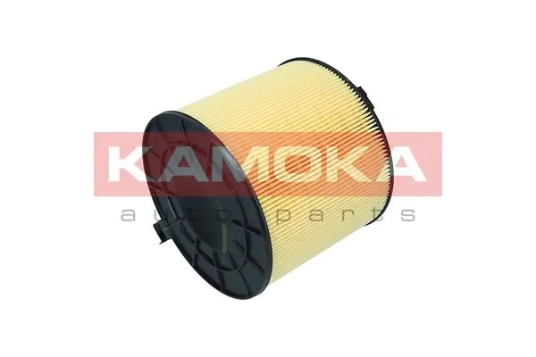 Air Filter F254901