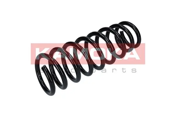 Suspension Spring 2120293
