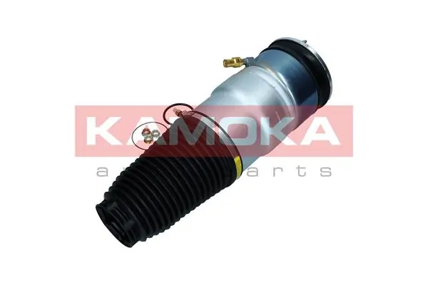 Air Spring, suspension 2079066