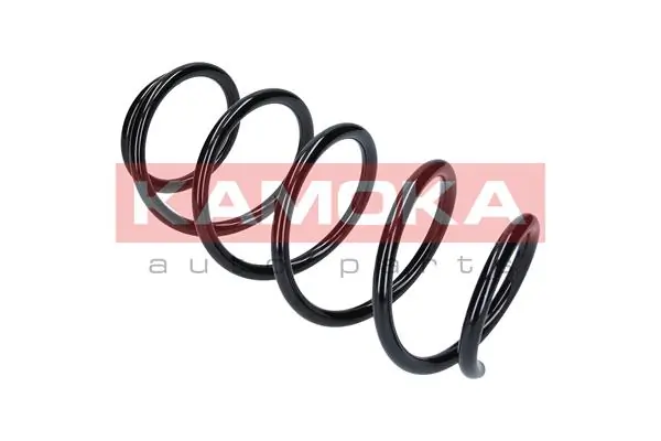 Suspension Spring 2110271