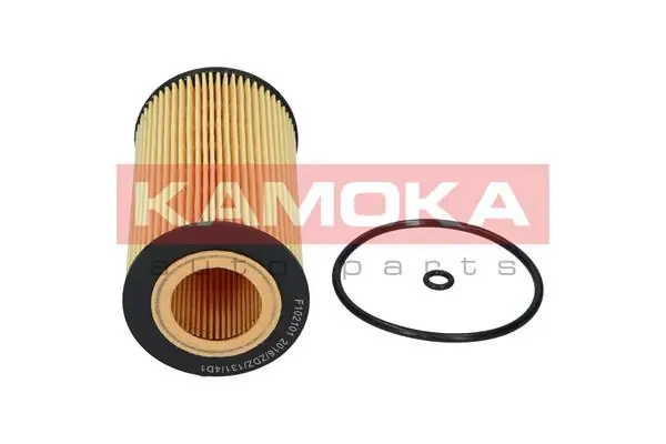 Oil Filter F102101