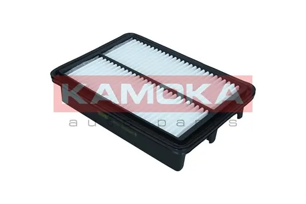 Air Filter F257101