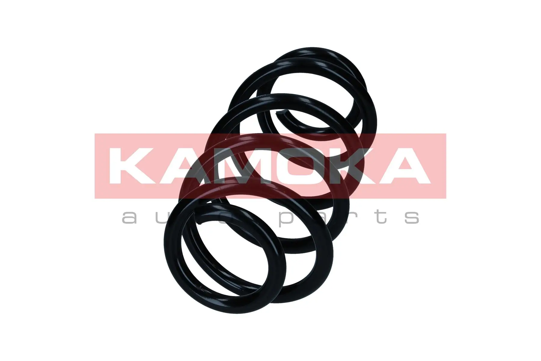 Suspension Spring 2110392