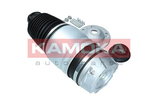 Air Spring, suspension 2079010