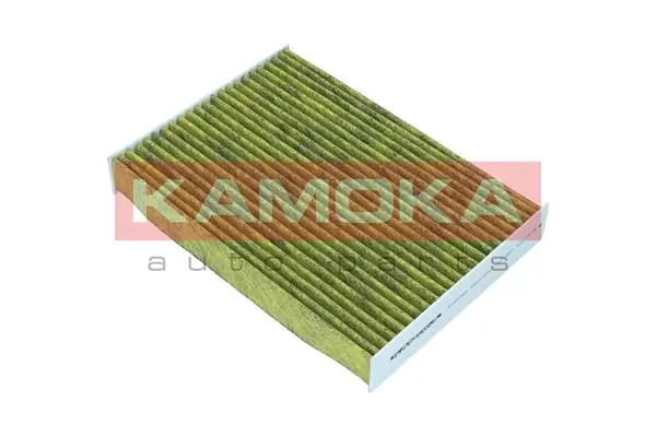 Filter, cabin air 6080160