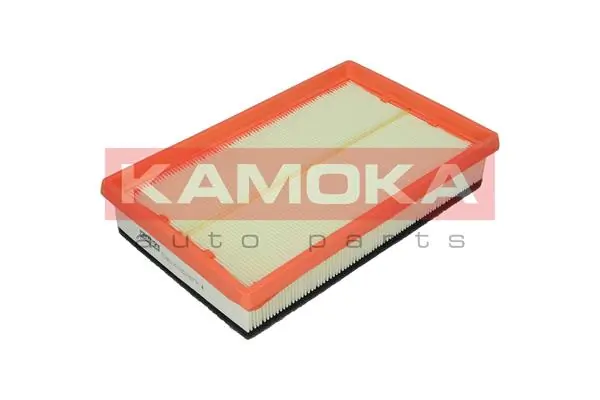 Air Filter F224601