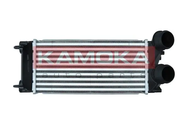 Charge Air Cooler 7750036