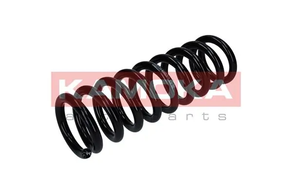 Suspension Spring 2110336