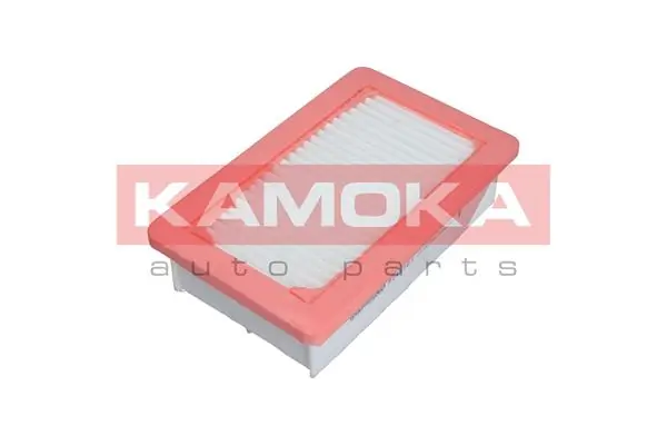 Air Filter F239301