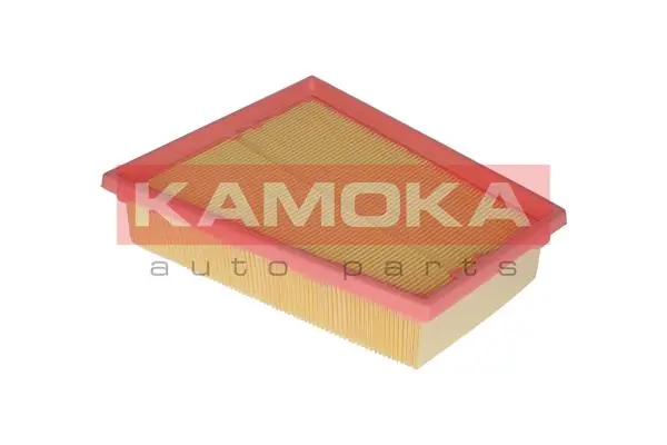 Air Filter F234001