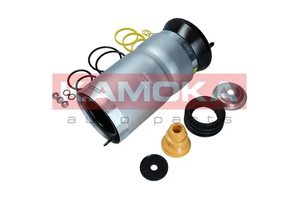 Air Spring, suspension 2079029