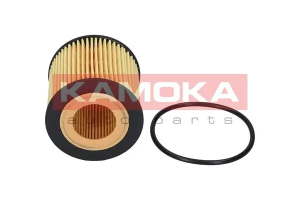 Oil Filter F103801
