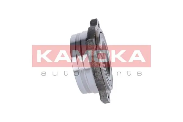 Wheel Bearing Kit 5500052