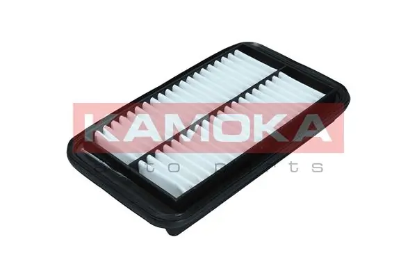 Air Filter F250101
