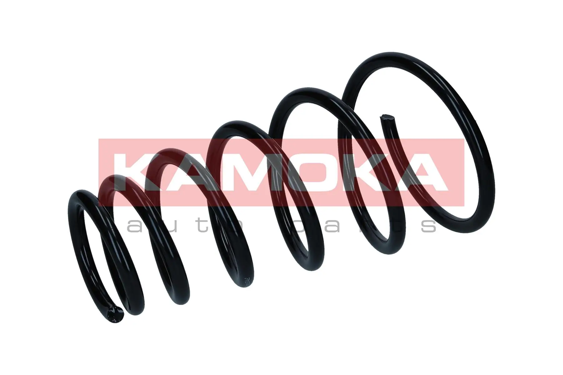 Suspension Spring 2120464