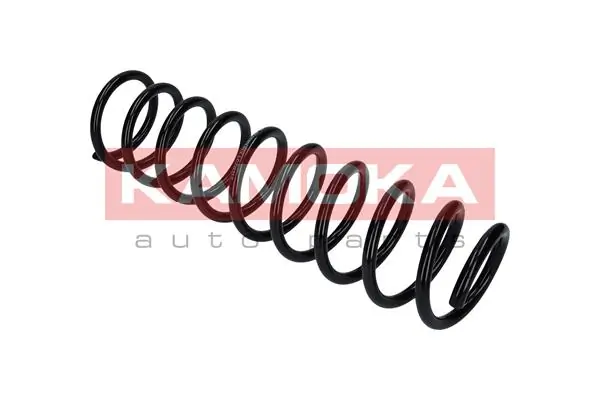 Suspension Spring 2120234