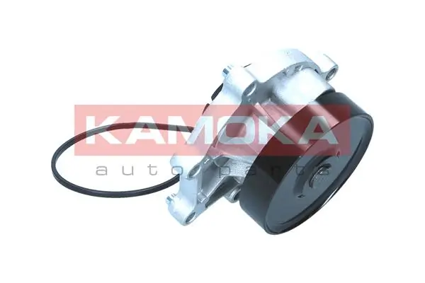 Water Pump, engine cooling T0299