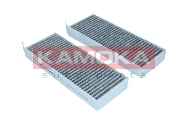 Filter, cabin air F513001