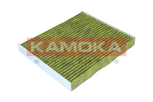 Filter, cabin air 6080145