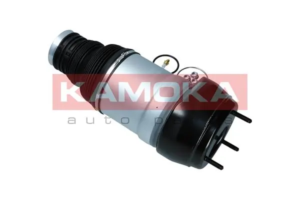 Air Spring, suspension 2079046