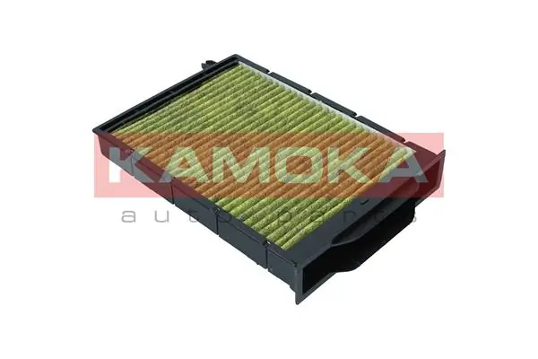 Filter, cabin air 6080043