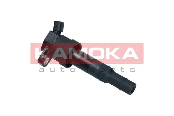 Ignition Coil 7120006