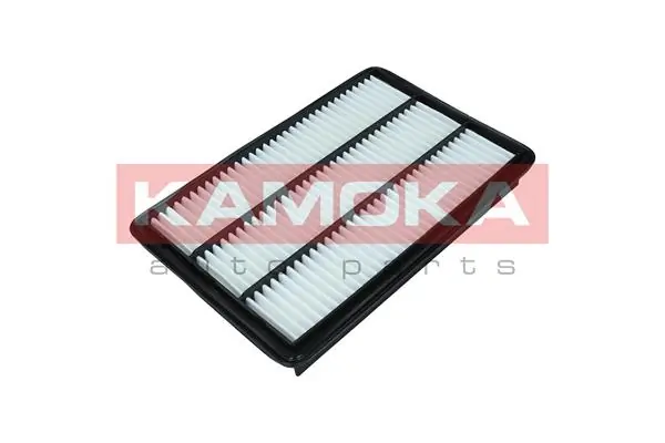 Air Filter F249801