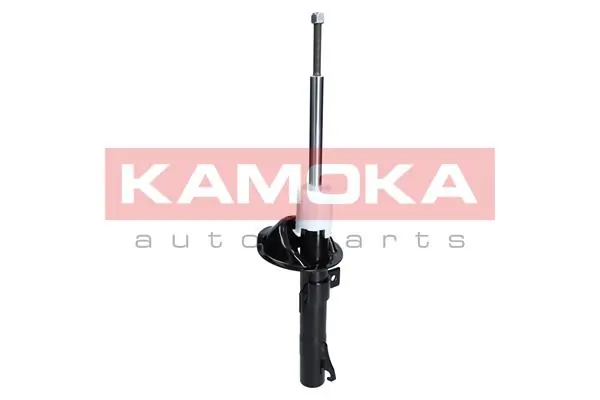 Shock Absorber 2000176