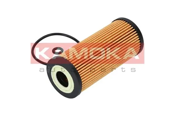 Oil Filter F108801