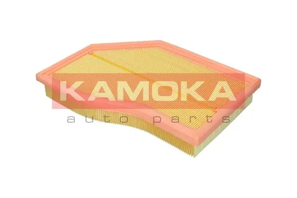 Air Filter F255801