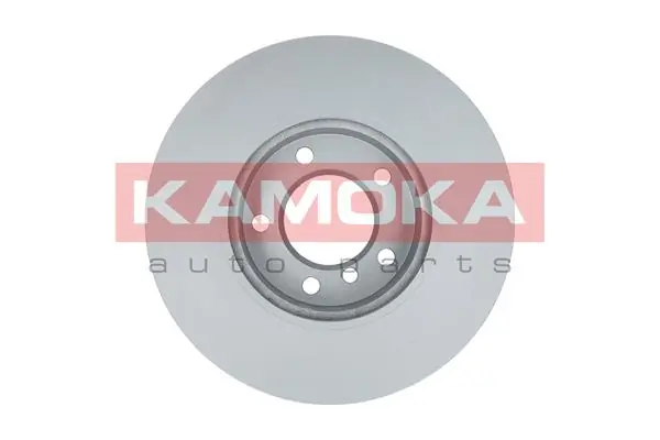 Brake Disc 1033072