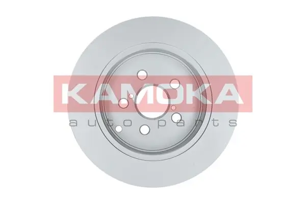 Brake Disc 1031101