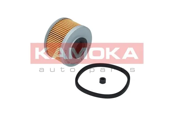 Fuel Filter F303101
