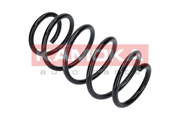 Suspension Spring 2110037