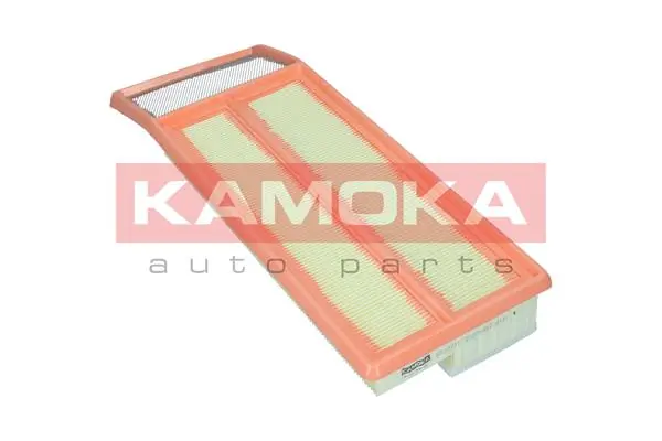 Air Filter F222701