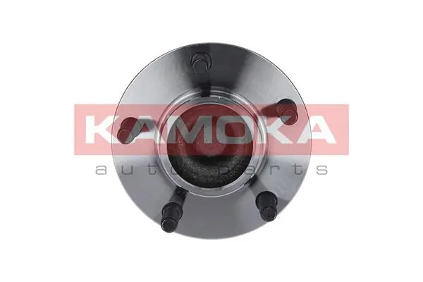 Wheel Bearing Kit 5500083