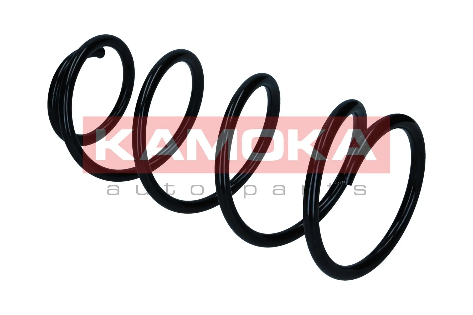 Suspension Spring 2110504