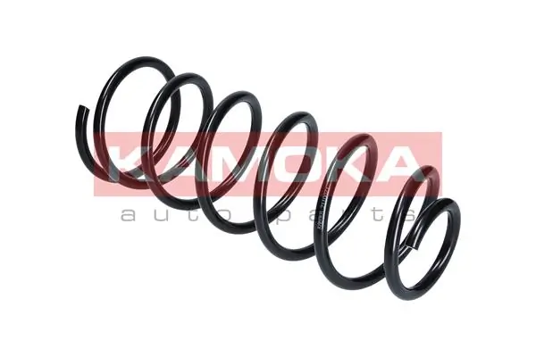 Suspension Spring 2110071