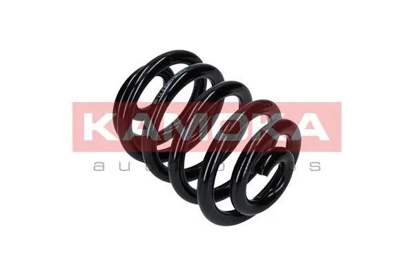 Suspension Spring 2120326