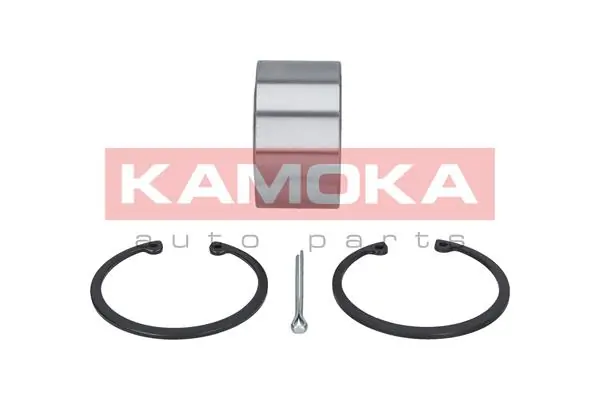 Wheel Bearing Kit 5500171