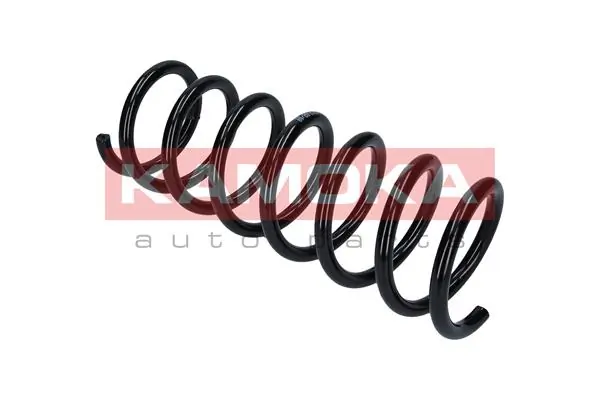 Suspension Spring 2120235