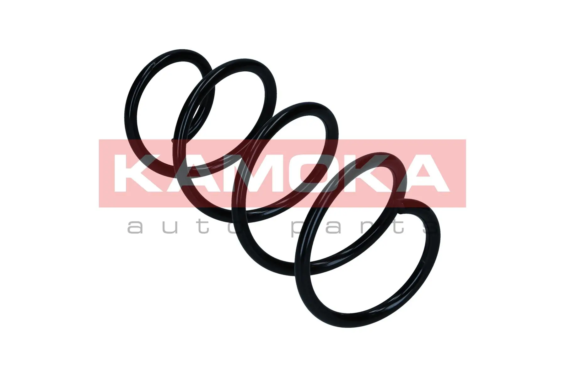 Suspension Spring 2110651