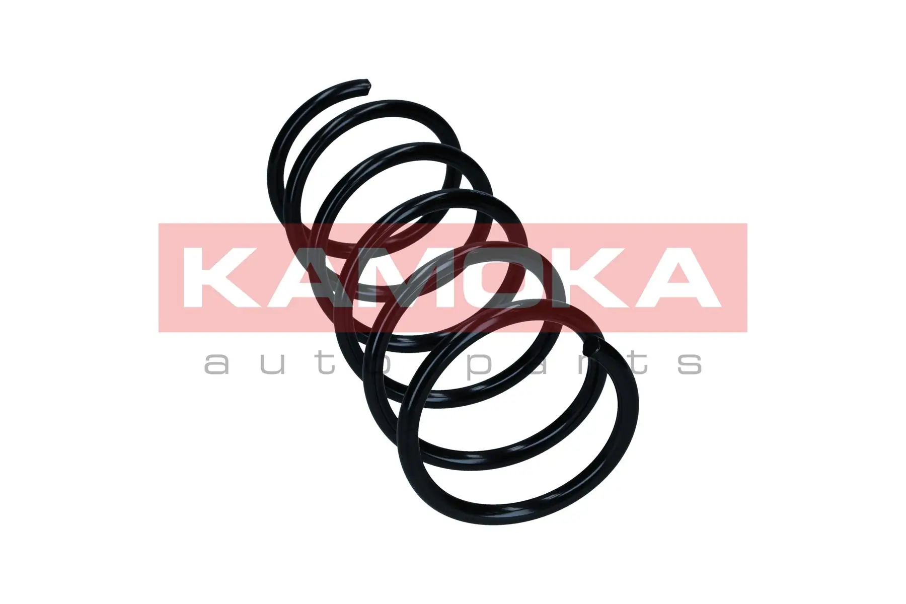 Suspension Spring 2110554