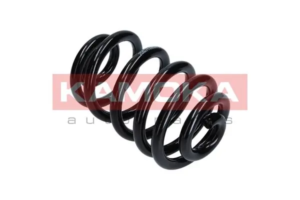 Suspension Spring 2120274