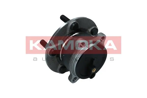 Wheel Bearing Kit 5500298