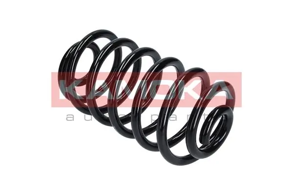 Suspension Spring 2120199