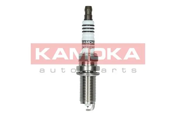 Spark Plug 7100039